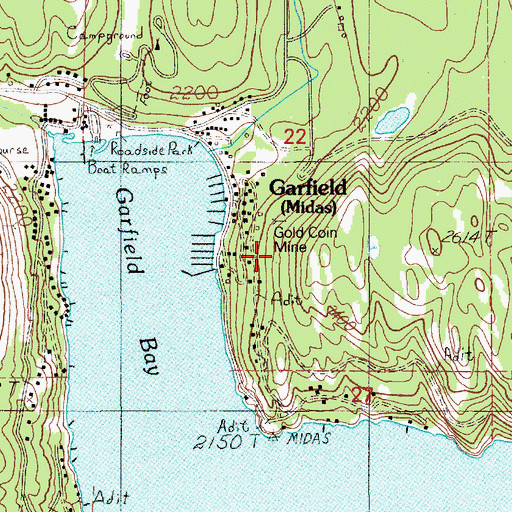 Topographic Map of Gold Coin Mine, ID