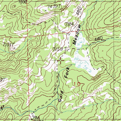 Topographic Map of Gold Fork Meadow, ID