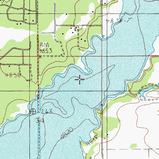 Topographic Map of Gold Fork River, ID