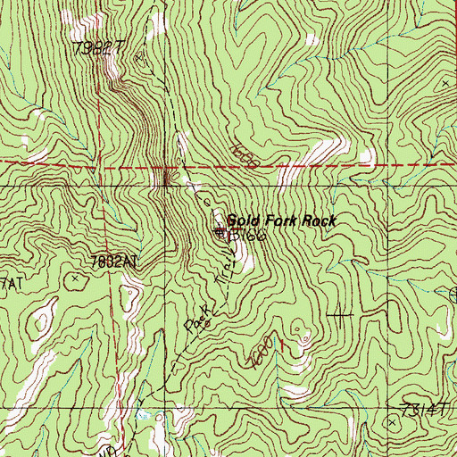 Topographic Map of Gold Fork Rock, ID