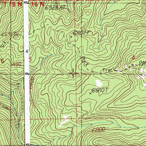 Topographic Map of Gold Fork Trail, ID