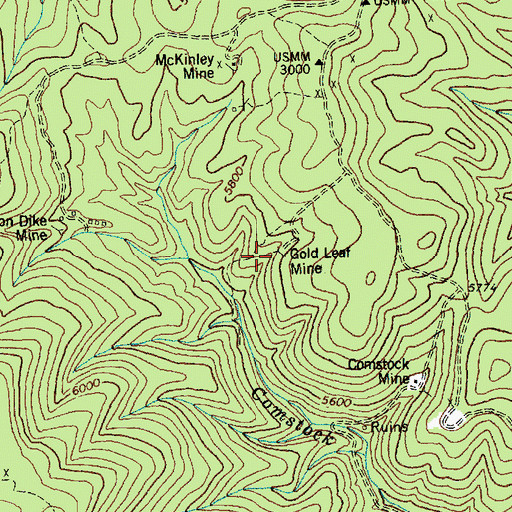 Topographic Map of Gold Leaf Mine, ID