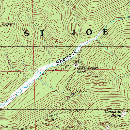 Topographic Map of Gold Nugget Mine, ID