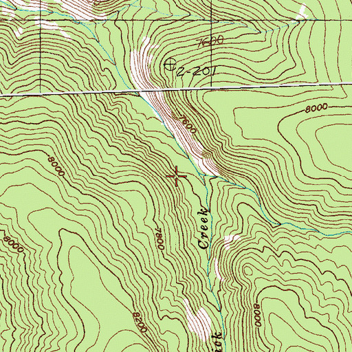 Topographic Map of Goodluck Creek, ID