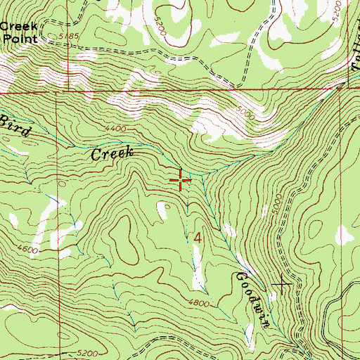 Topographic Map of Goodwin Creek, ID