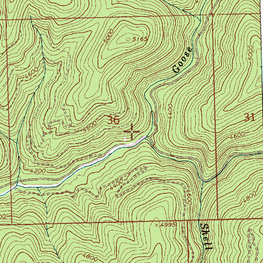 Topographic Map of Goose Creek, ID