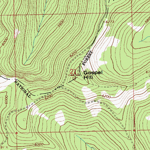Topographic Map of Gospel Hill, ID