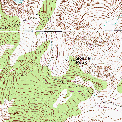 Topographic Map of Gospel Peak, ID