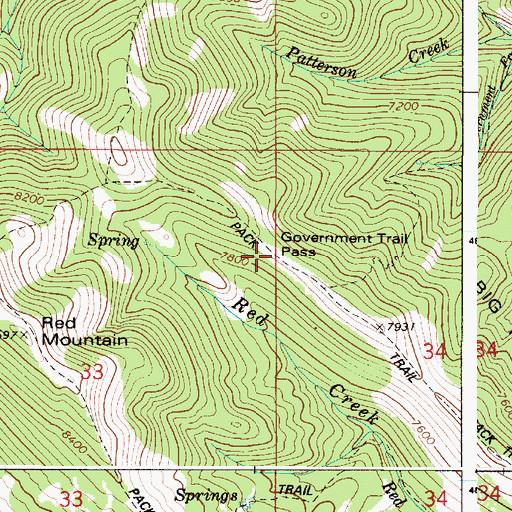 Topographic Map of Government Trail Pass, ID