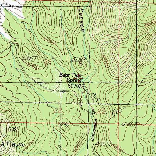 Topographic Map of Bear Trap Spring, AZ