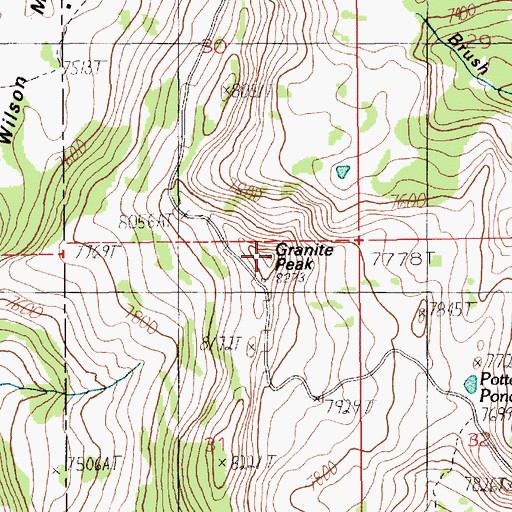 Topographic Map of Granite Peak, ID