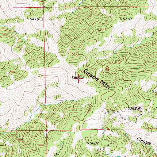 Topographic Map of Grape Mountain, ID