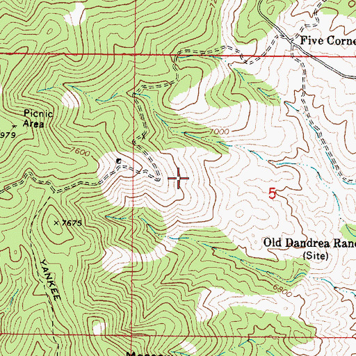Topographic Map of Bones Spring, AZ