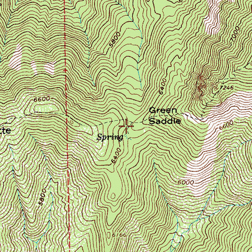 Topographic Map of Green Saddle, ID