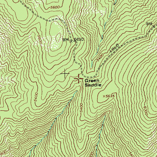 Topographic Map of Green Saddle, ID