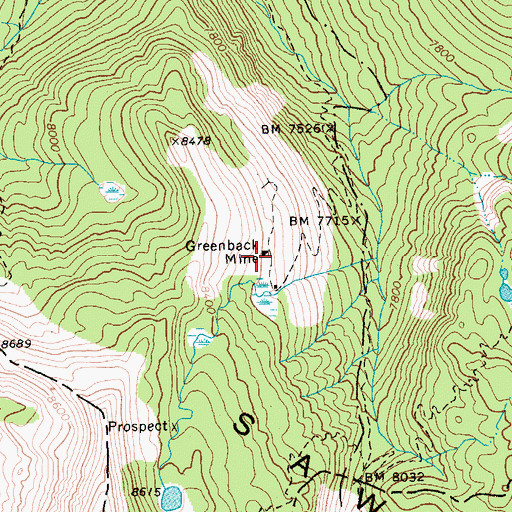 Topographic Map of Greenback Mine, ID
