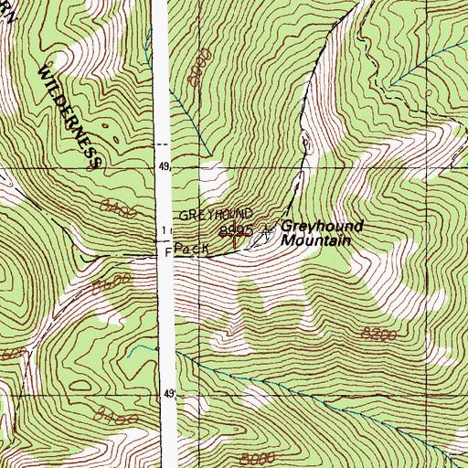 Topographic Map of Greyhound Mountain, ID