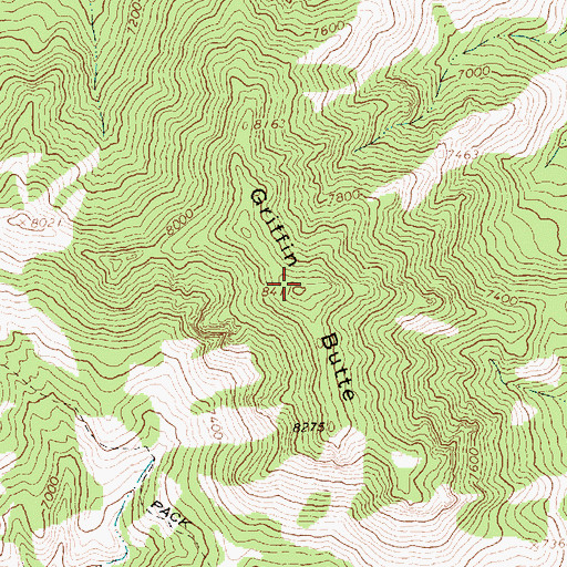 Topographic Map of Griffin Butte, ID