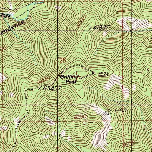 Topographic Map of Griffith Peak, ID