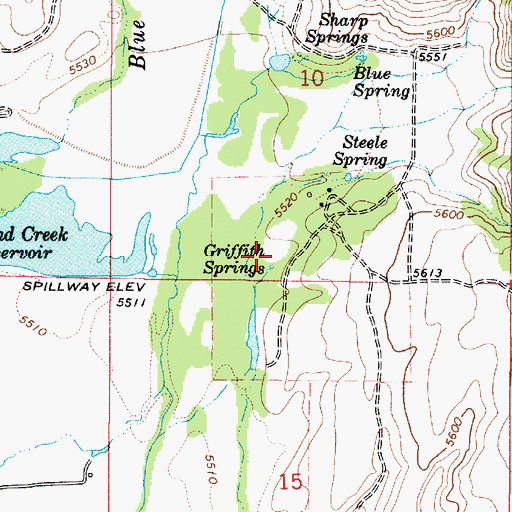 Topographic Map of Griffith Springs, ID