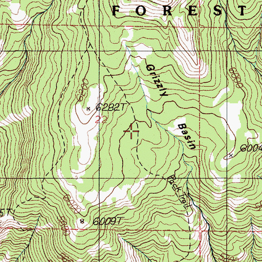 Topographic Map of Grizzly Basin, ID