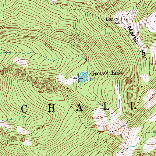 Topographic Map of Grouse Lake, ID