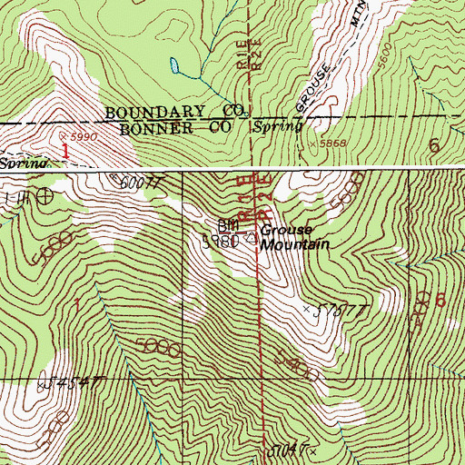 Topographic Map of Grouse Mountain, ID
