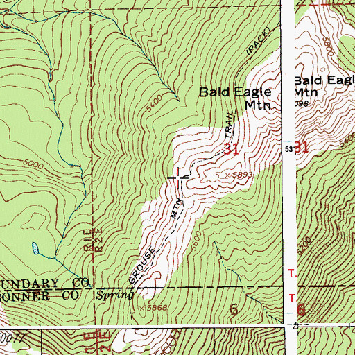 Topographic Map of Grouse Mountain Trail, ID