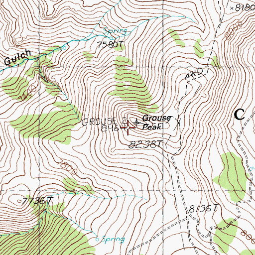 Topographic Map of Grouse Peak, ID