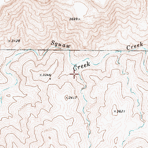 Topographic Map of Brushy Canyon, AZ