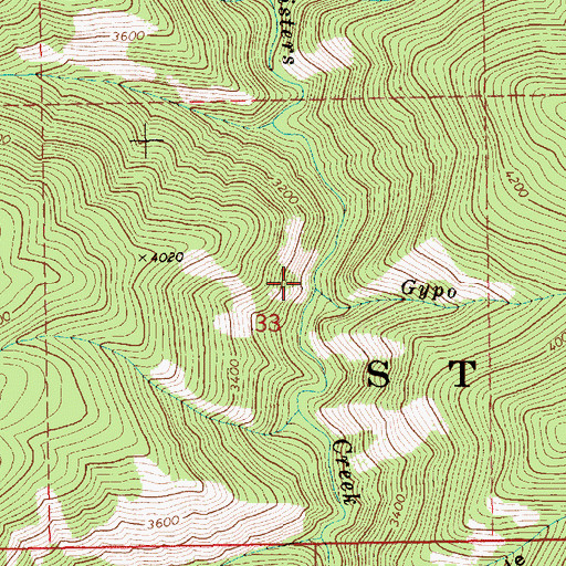 Topographic Map of Gypo Creek, ID