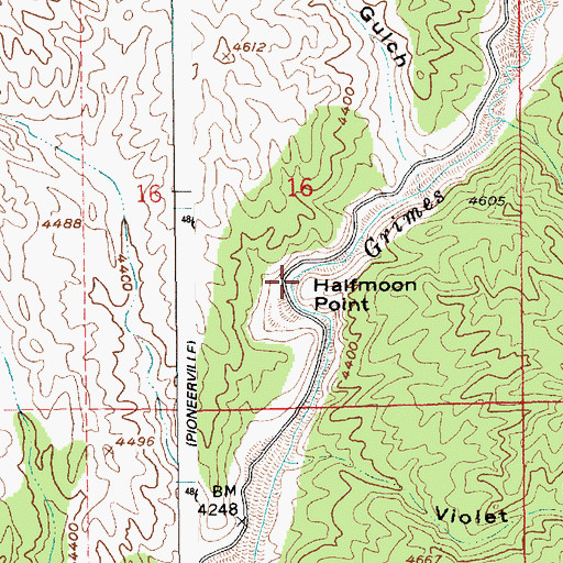 Topographic Map of Halfmoon Point, ID