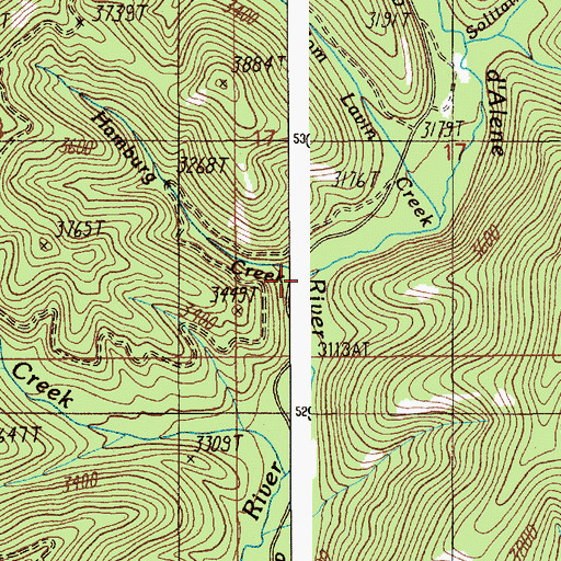 Topographic Map of Hamburg Creek, ID