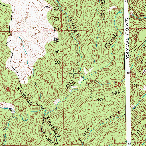Topographic Map of Hardscrabble Gulch, ID