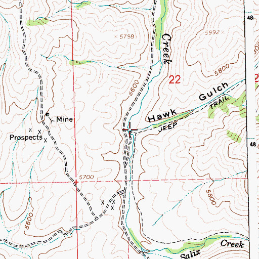 Topographic Map of Hawk Gulch, ID