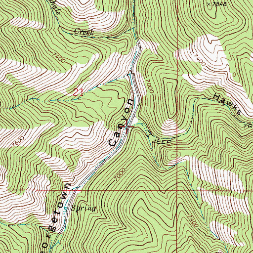 Topographic Map of Hawks Roost, ID