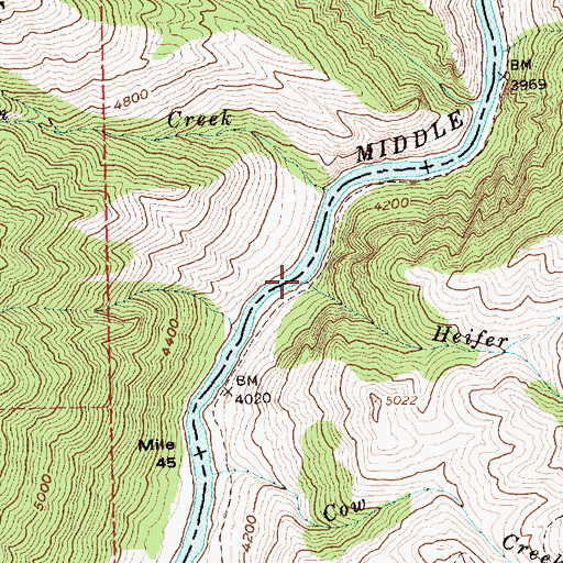 Topographic Map of Heifer Creek, ID