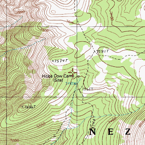 Topographic Map of Hibbs Cow Camp, ID