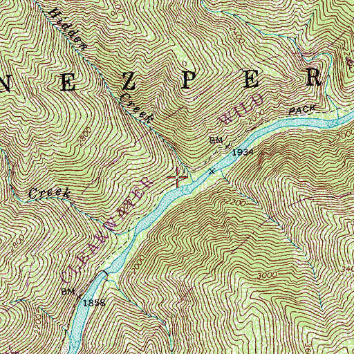 Topographic Map of Hidden Creek, ID