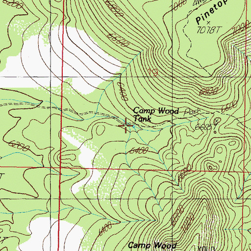 Topographic Map of Camp Wood Tank, AZ