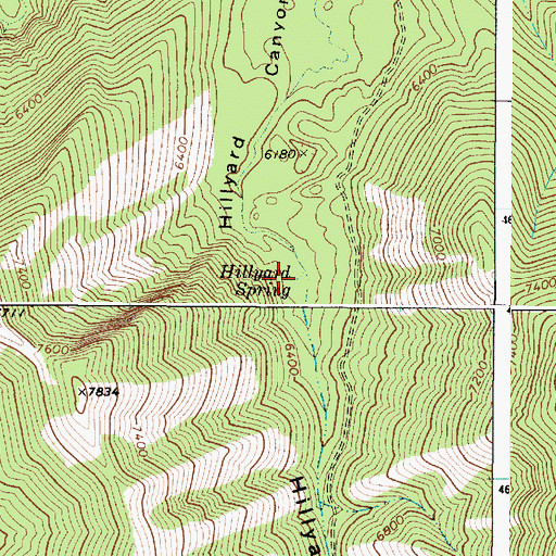Topographic Map of Hillyard Spring, ID
