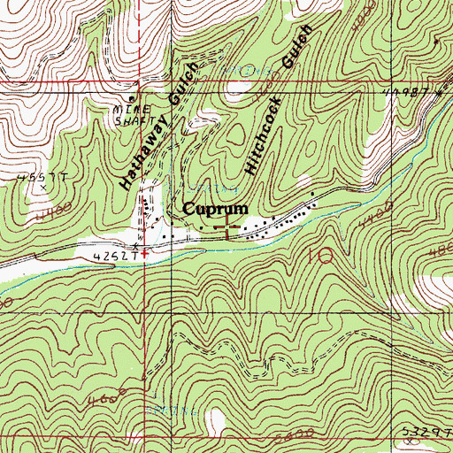 Topographic Map of Hitchcock Gulch, ID