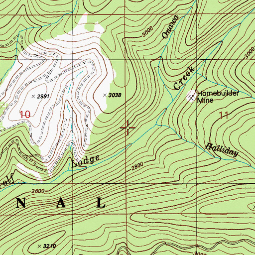 Topographic Map of Holiday Creek, ID
