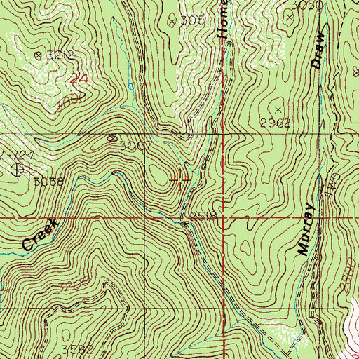 Topographic Map of Homer Creek, ID