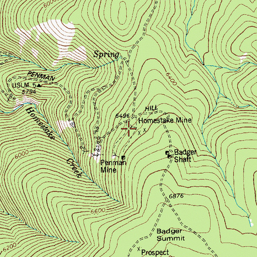 Topographic Map of Homestake Mine, ID
