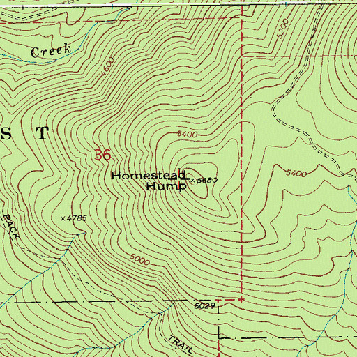Topographic Map of Homestead Hump, ID