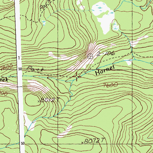 Topographic Map of Hornet Creek Trail, ID