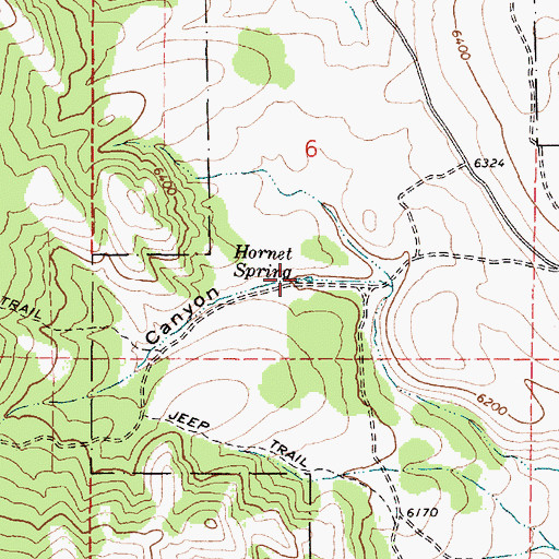Topographic Map of Hornet Spring, ID