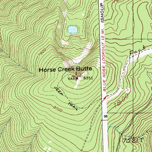 Topographic Map of Horse Creek Butte, ID