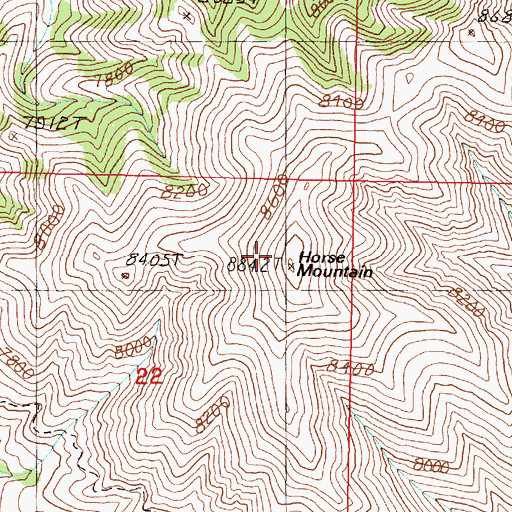 Topographic Map of Horse Mountain, ID